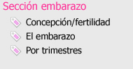 concepció, fertilidad, el embarazo por trimestres
